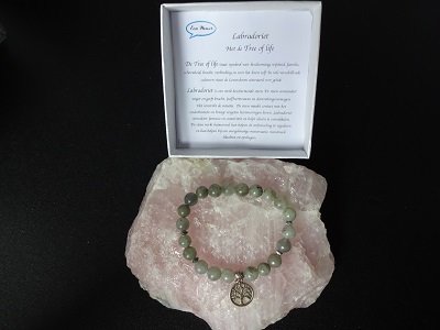 Damesarmband Labradoriet met Tree of Lifebedel