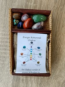 Energie Activerende Chakra&#039;s met Chakra Armband met Tree of Life bedel