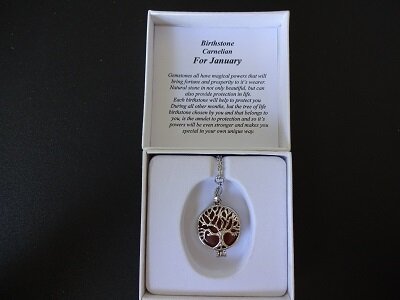 Dames ketting Geboortesteen Carneool (steenbok)