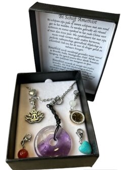 Bi schijf Amethist met RVS ketting