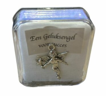 Pin broche geluksengel voor succes