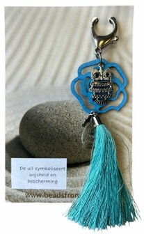 Uil met licht blauwe kwast
