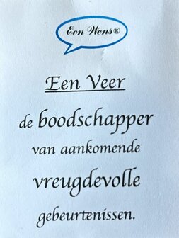 Ketting (verstelbaar) van roze veter en veer hanger