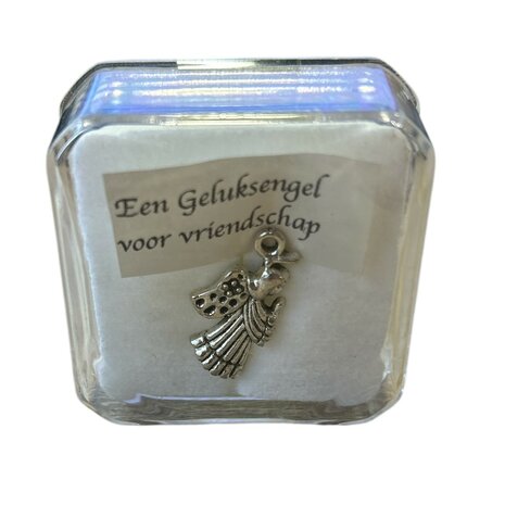 Pin broche geluksengel voor vriendschap