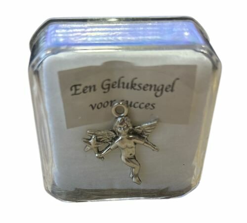 Pin broche geluksengel voor succes