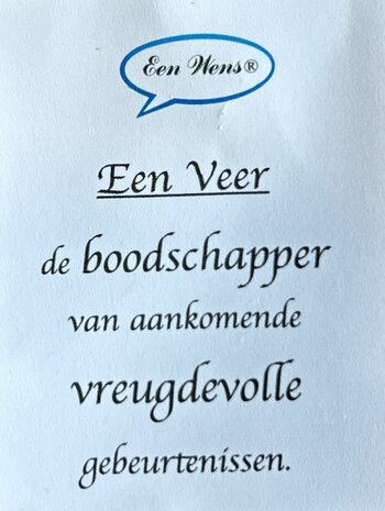 Ketting (verstelbaar) van roze veter en veer hanger