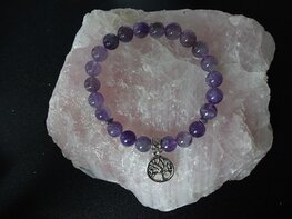 Dames armband Amethist met Tree of Lifebedel