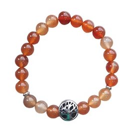 Dames armband Agaat 8 mm met Tree of life kraal Dames armband Agaat 8 mm met Tree of life kraal