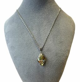 Ketting met Abalone Ketting met Abalone